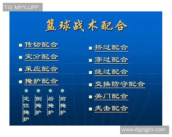 广州排球队快攻战术解析与实战应用探讨