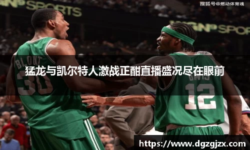 猛龙与凯尔特人激战正酣直播盛况尽在眼前